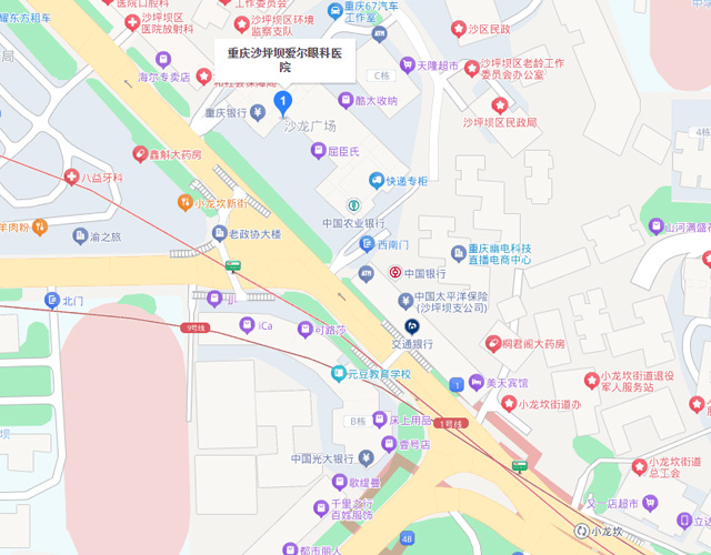 地图.jpg